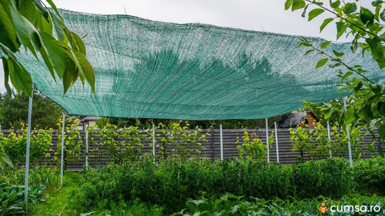 Cum sa folosesti plasele de umbrire pentru a proteja plantele din gradina de arsurile solare