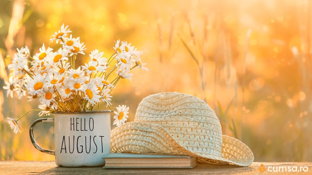 Cum sa ingrijesti gradina in luna august