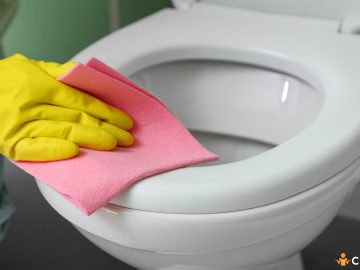 Cat de des trebuie sa cureti capacul de la toaleta. Cum sa iti dai seama ca trebuie sa il inlocuiesti