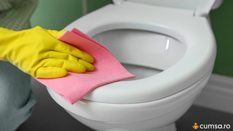 Cat de des trebuie sa cureti capacul de la toaleta. Cum sa iti dai seama ca trebuie sa il inlocuiesti