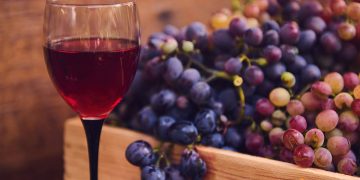 Cum sa folosesti Tannisol la vin si de ce este util