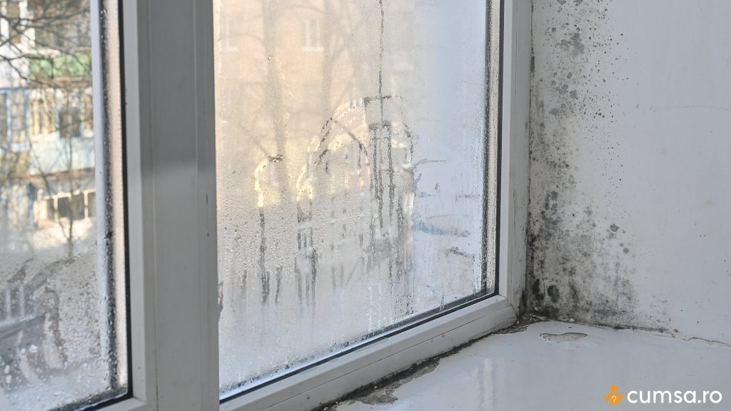 De ce apare igrasia in casa