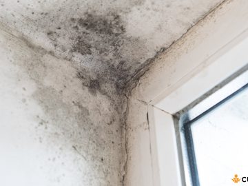 De ce apare igrasia in casa si cum sa o cureti cat mai eficient