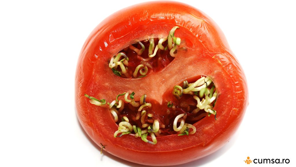 De ce incoltesc semintele in tomate