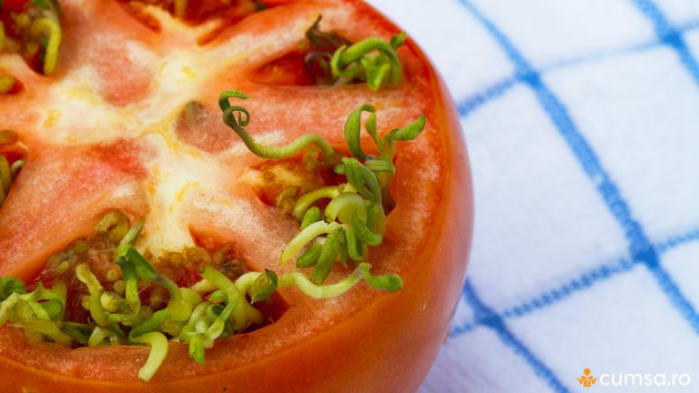 De ce incoltesc semintele in tomate. Cum sa previi acest fenomen si care sunt cauzele
