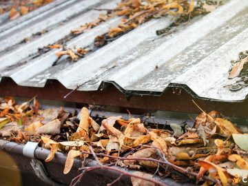 De ce trebuie sa cureti acoperisul casei de frunze. Cum sa eviti posibilele probleme