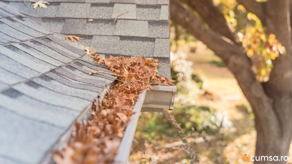 Cand se curata jgheaburile de frunze