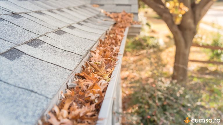 Cand se curata jgheaburile de frunze, toamna sau primavara? Cum sa procedezi in mod corect