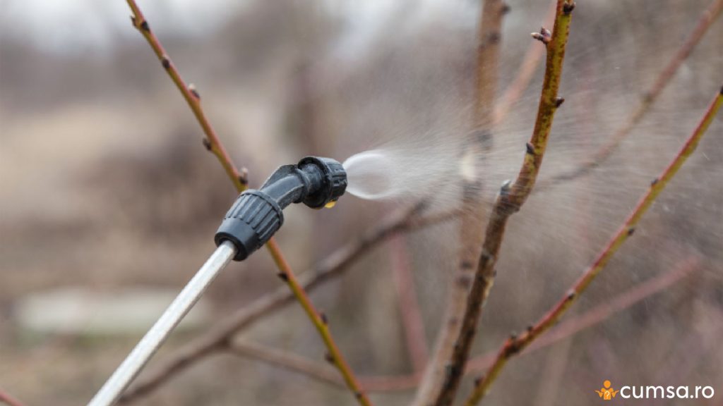 Cat ulei horticol se pune la 10 litri de apa