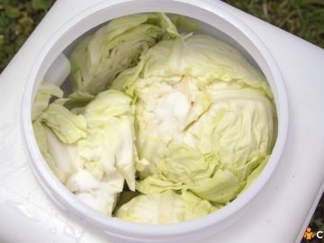 Ce se pune la varza murata si cum sa o pregatesti pentru a rezista toata iarna