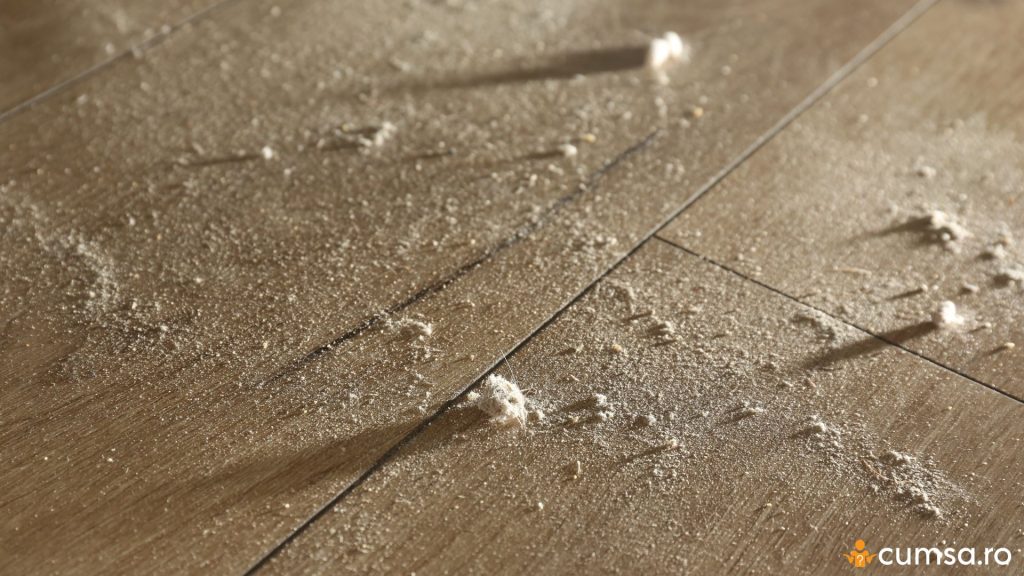 De ce este mult praf in locuinta ta
