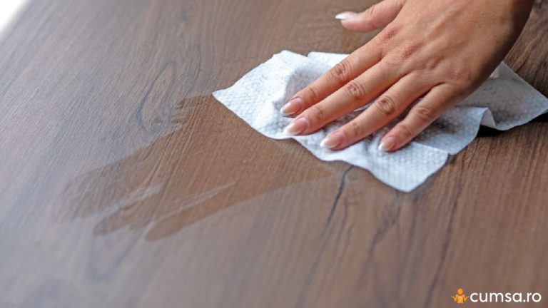 De ce este mult praf in locuinta ta. Cum sa iti mentii casa cat mai curata