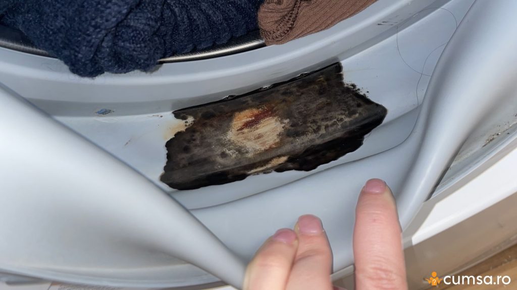 Mucegai in garnitura masinii