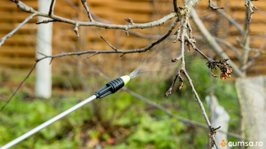 Tratamente cu ulei horticol