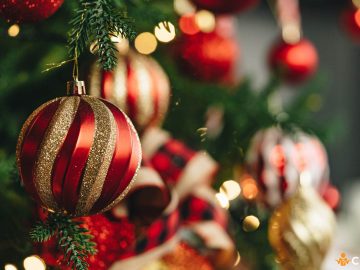 Ce greseli sa eviti cand impodobesti bradul de Craciun si cum sa procedezi corect