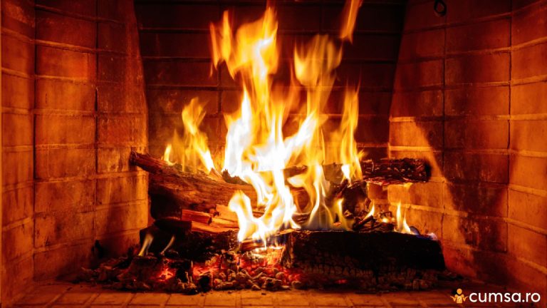 Ce nu ar trebui sa arzi in semineu. Cum sa il folosesti in mod corect si ce sa eviti