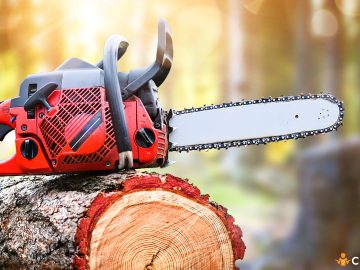 Cum sa pregatesti drujba pentru iarna si ce ar trebui sa faci