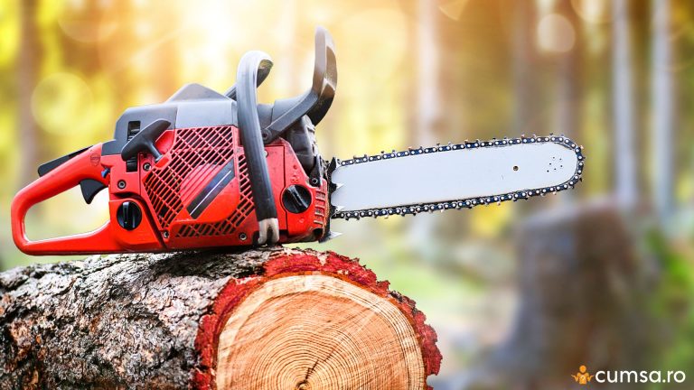 Cum sa pregatesti drujba pentru iarna si ce ar trebui sa faci