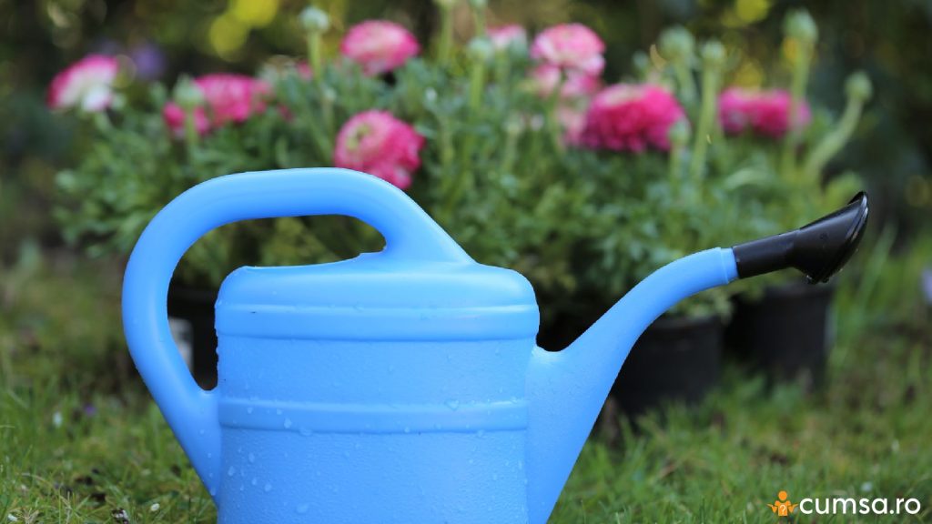 De cand nu mai trebuie sa uzi in curte toamna