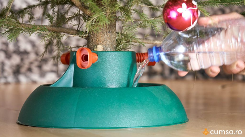 De cata apa are nevoie un brad de Craciun