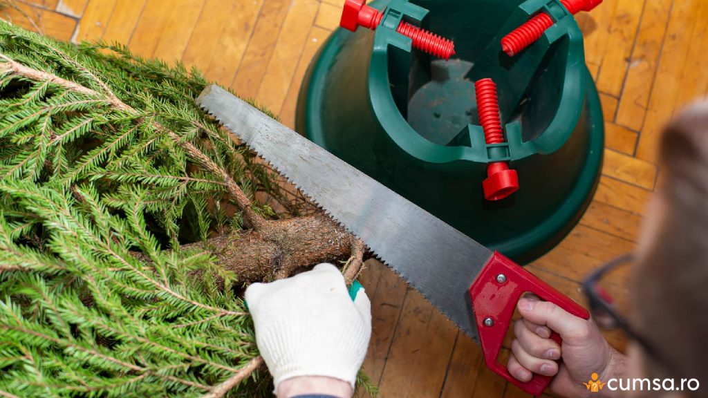 Pregatirea bradului pentru suport