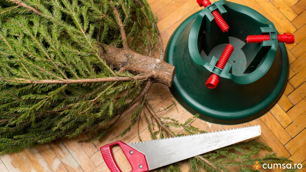 Taierea bradului inainte de a il pune in suport