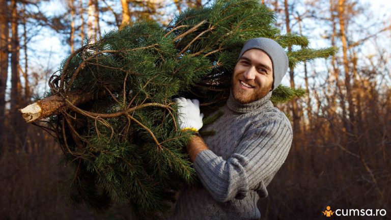 Cum sa cureti hainele de rasina si care sunt solutiile