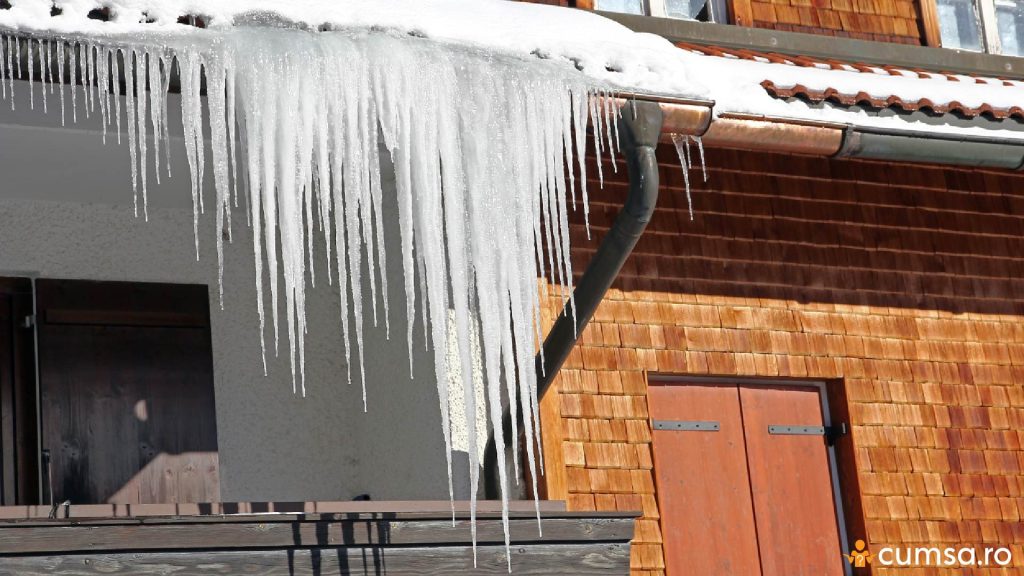 De ce trebuie sa dai turturii jos de pe acoperis