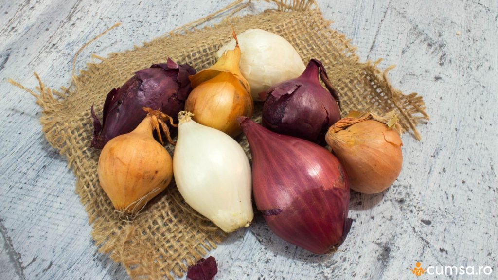 Soiuri de ceapa pentru mancare