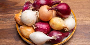 Soiuri de ceapa pentru mancare. Cum sa le folosesti in mod corect cand gatesti
