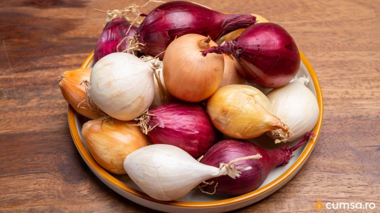 Soiuri de ceapa pentru mancare. Cum sa le folosesti in mod corect cand gatesti