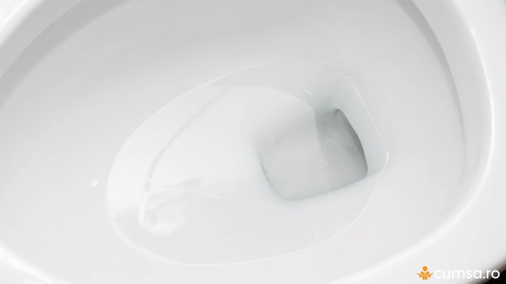 Vas de toaleta curat