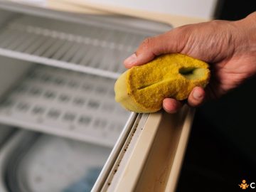 Cat de des trebuie sa cureti garnitura frigiderului si cum sa faci asta in mod corect