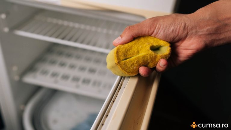 Cat de des trebuie sa cureti garnitura frigiderului si cum sa faci asta in mod corect