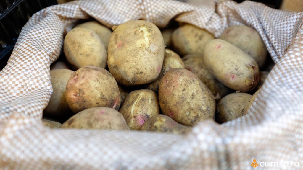 Sac plin cu cartofi