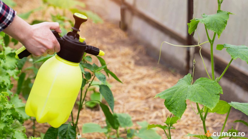 Cand folosim Mospilan