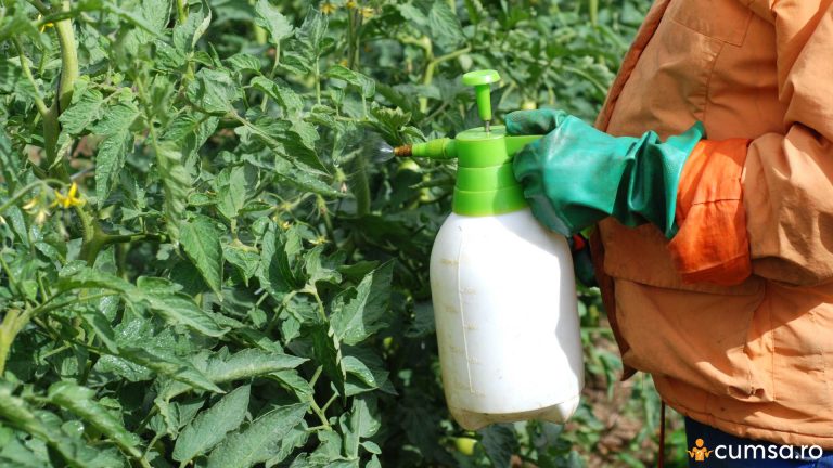 Cand se aplica ingrasamant foliar Cropmax la rosii si cum sa faci tratamentul