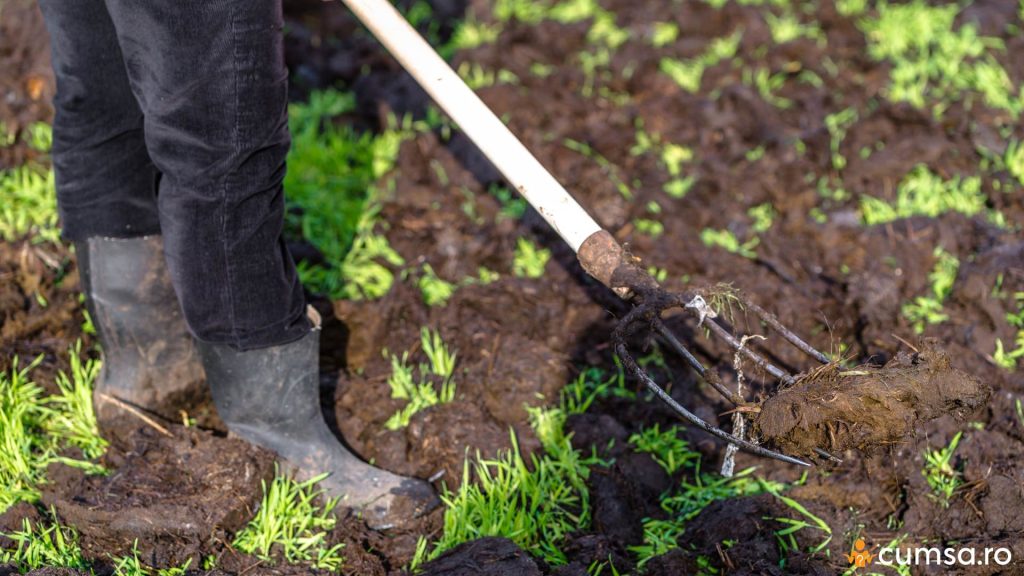 Cand se pune gunoi de grajd in gradina
