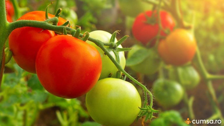 Cand se stropesc rosiile prima data si ce produse sa folosesti. Cum sa procedezi