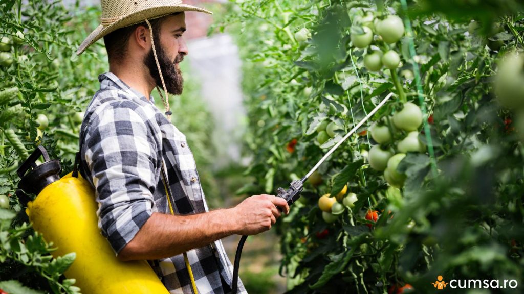 Cand se stropesc rosiile cu lapte
