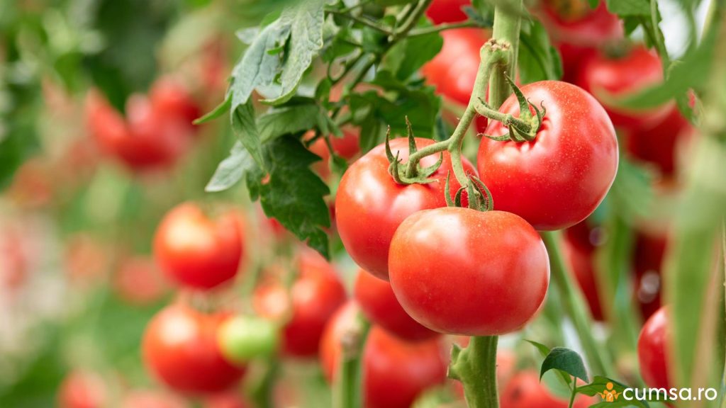 Cand se stropesc rosiile prima data