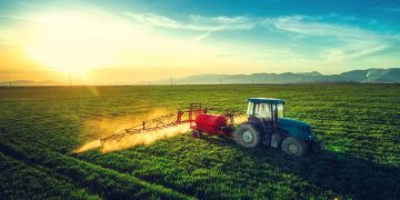 Cand trebuie aplicate tratamentele agricole, dimineata sau seara? Cum sa procedezi