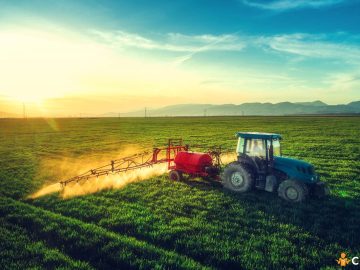 Cand trebuie aplicate tratamentele agricole, dimineata sau seara? Cum sa procedezi