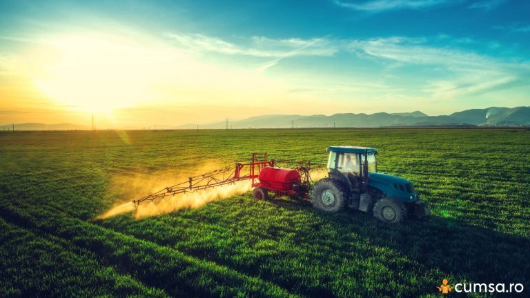 Cand trebuie aplicate tratamentele agricole, dimineata sau seara? Cum sa procedezi